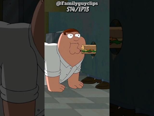 Is Peter Gay ?!  | Family guy funny moments!!!