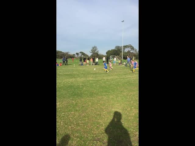 U8s joeys blue, Barnstoneworth United vs Williamstown SC 2016-05-22