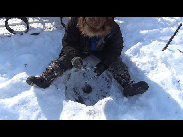 Будни эвенов-оленеводов. Рыбалка между делом.