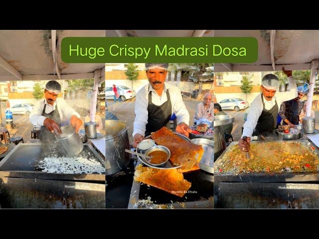 Super Crispy Madrasi Rawa Masala Panner Dosa Making | Jaipur Street Food India