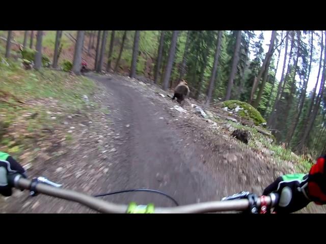 Bear on the Bikepark // SLOW MOTION  // Malino Brdo SLOVAKIA