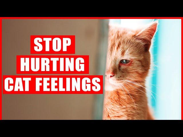 40 Things that EMOTIONALLY Hurt Your Cat, Without You Even Realizing It