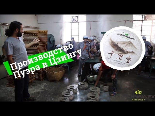 Производство пуэра Moychay.ru , Цзингу, Юньнань. Puer Tea production by Moychay.com . Jinggu,Yunnan.