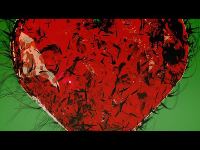 The Breeders - S.O.S. (Official Visualiser)