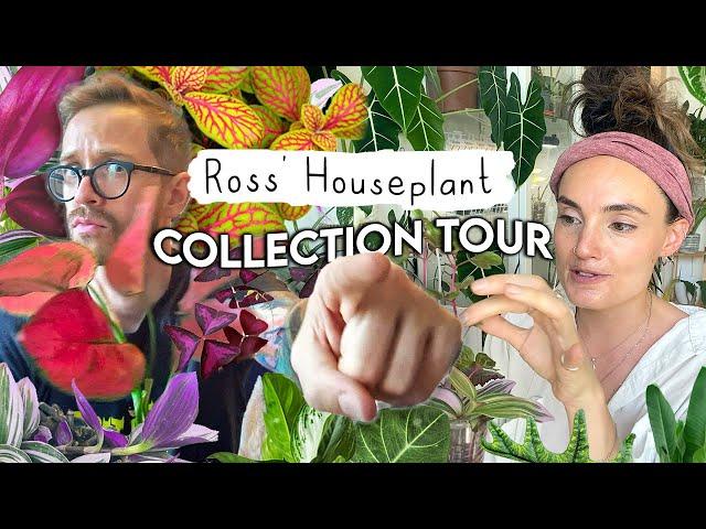 Houseplant TOUR à la Ross  The Addiction Has Begun... Ross' House Plant Collection Tour