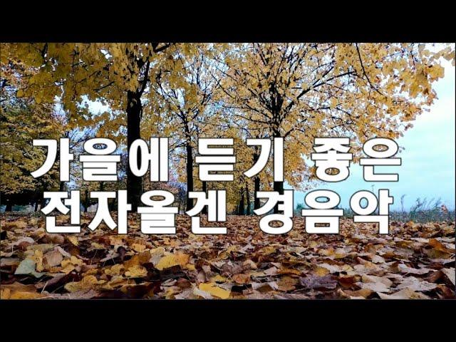 [2시간] 가을에 듣기 좋은 트롯 전자올겐 경음악  #경음악 #전자올겐 #캬바레