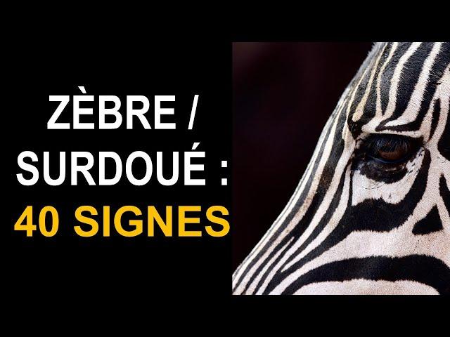 Zèbre / surdoué : 40 caractéristiques