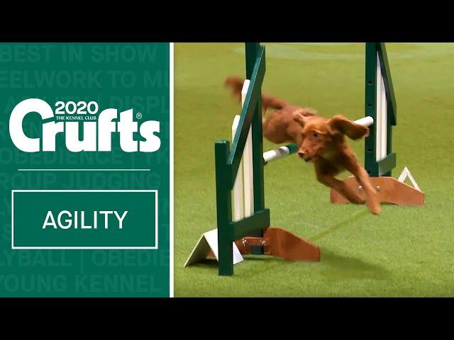 Agility - Championship Final | Crufts 2020