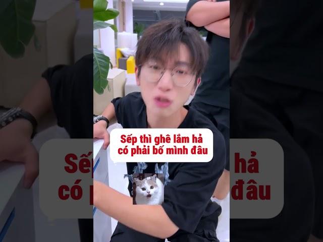 Khi báo thủ cố giúp chị | My Cây Hài #shorts
