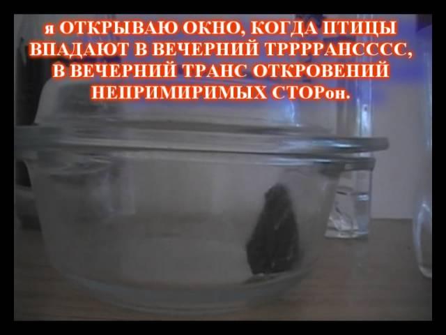 ИМЕНно СЕГОДНя