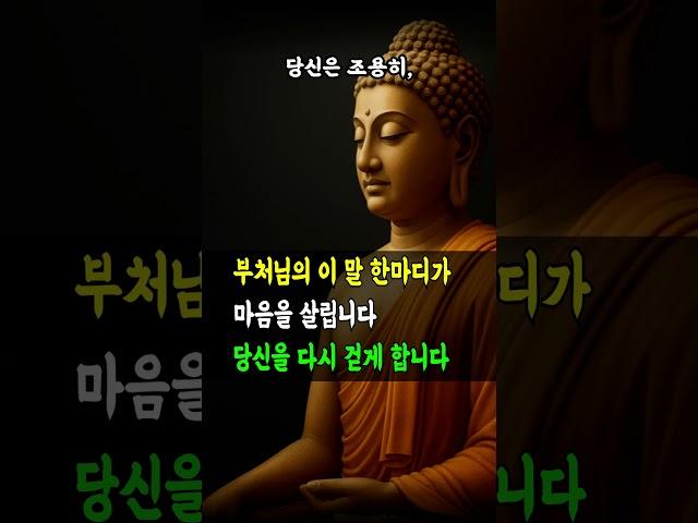 부처님의 이 말 한마디가 마음을 살립니다｜당신을 다시 걷게 합니다 #부처님말씀 #명언 #자기수행