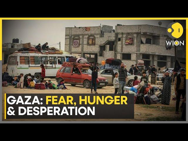 Israel war of 'starvation': In Gaza, fleeing refugees face hunger & disease threat | WION Newspoint