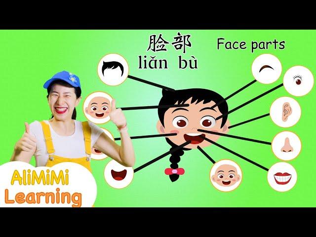 学中文 脸部 ⎮Learn about Face - Body Part in Mandarin Chinese  ⎮学习脸部 ⎮面