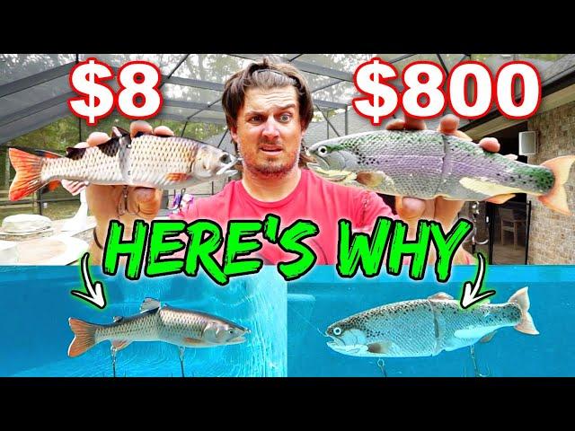 CHEAP vs. EXPENSIVE Swimbaits: UNDERWATER Proof of their Value! (Surprising)