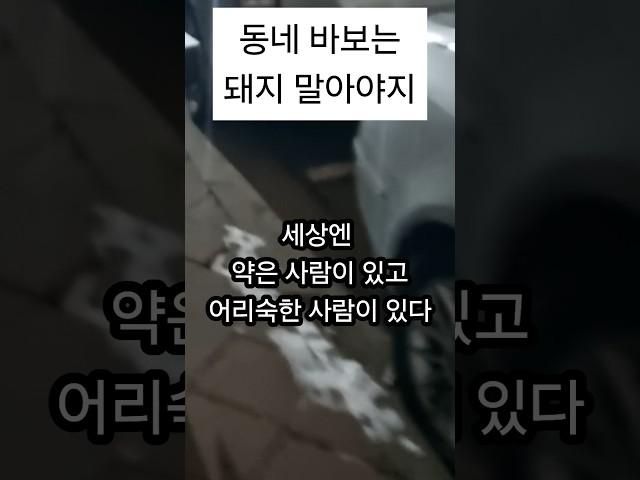 내가 생각하는 사람의 두부류#이혼#돌싱#싱글맘7#인생설계#계획형인간#아둘맘