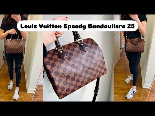 The BEST LOUIS VUITTON BAG, Ever?