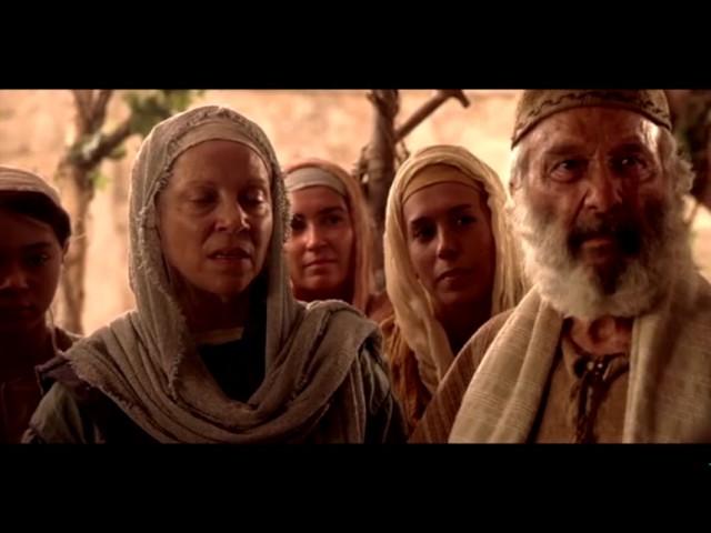 The Chronological Gospel of Jesus Christ (Movie)