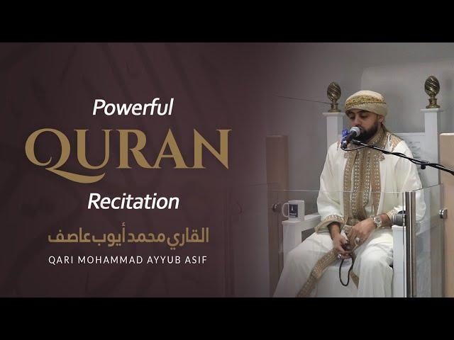 Surah Fussilat | Qari Mohammad Ayyub Asif محمد أيوب عاصف