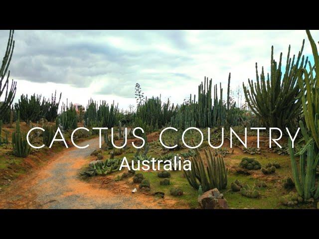 Cactus Country | Including Drone Videos | Strathmerton | Victoria | Australia