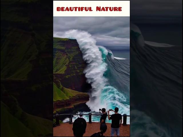"Nature's Wild Beauty  | Stunning Ocean View #Shorts" #youtubeshorts #shortsfeed #trendingshorts