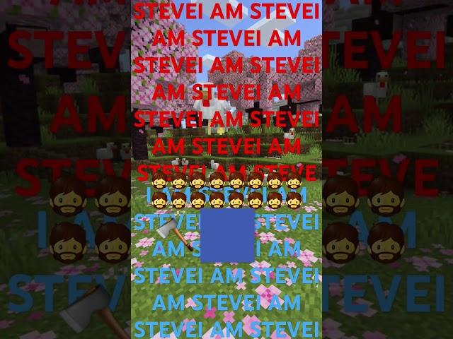 I AM STEVEI AM STEVEI AM STEVEI AM STEVEI AM STEVEI AM STEVEI AM STEVE