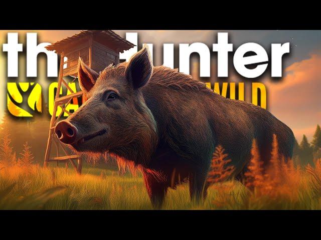 Ist das der BESTE HOCHSITZ im Spiel?!  | theHunter Call of the Wild