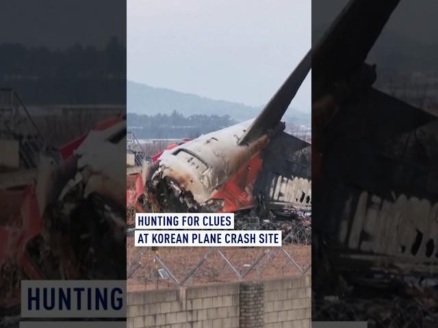 Hunting for clues at Korean plane crash site