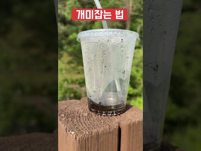 개미잡는 법 #개미잡는법 #개미지옥 #시골피디 #개미