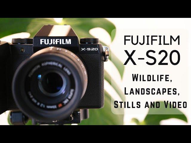 FUJIFILM X-S20 - Review for Wildlife, Landscapes, Video and Stills.