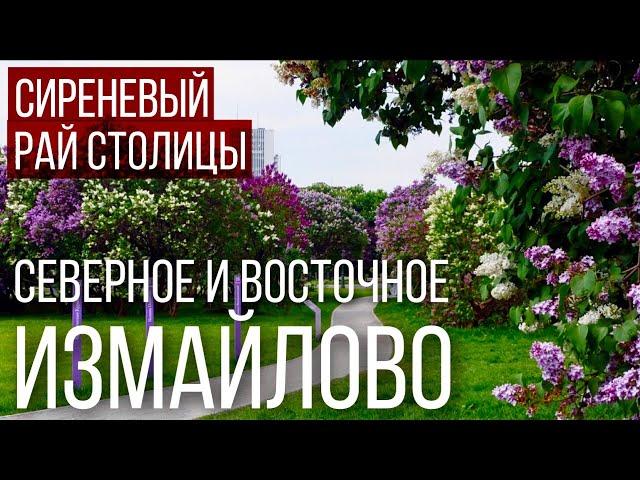 Районы Москвы: СЕВЕРНОЕ И ВОСТОЧНОЕ ИЗМАЙЛОВО