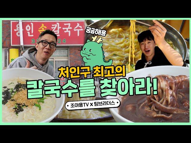 팀브, 칼국수 근본의 도시 용인에서 최고의 칼국수를 찾아라! | 용인세끼