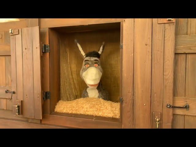 Funny Moments with Donkey and Shrek at Universal Studios Florida