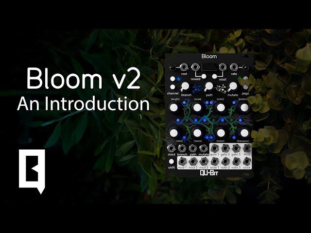 Introducing: Bloom v2