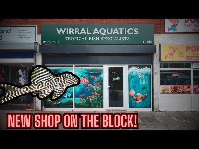 NEW SHOP ON THE BLOCK! - Wirral Aquatics Opening Day Shop Tour!