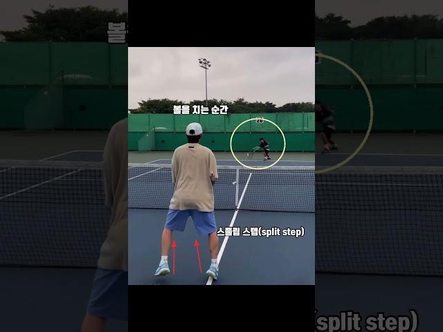 포핸드 발리 팁(전국가대표 김치완) #테니스레슨 #tennis #정진화테니스레슨