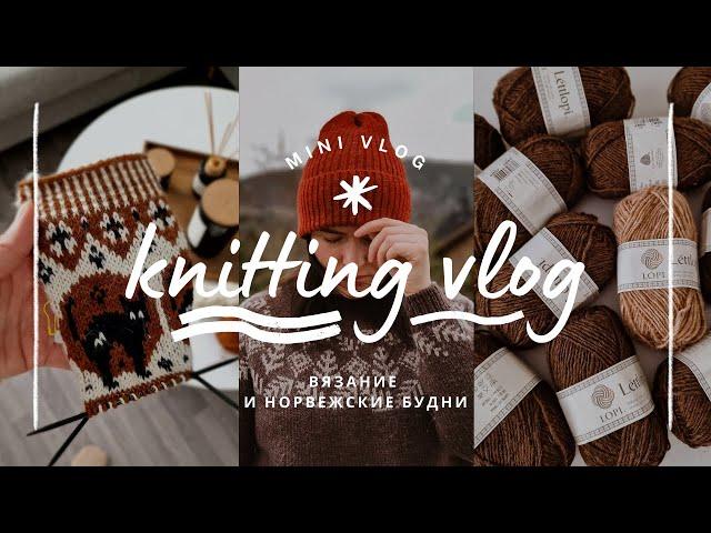 vlog 16/24 | довязала свитер Taiga  готовые работы и планы ️ вяжу жаккардовые носки с котами