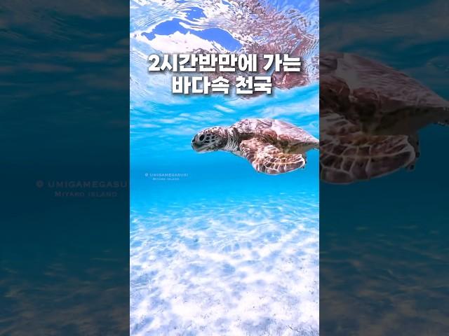 미야코지마 호텔 BEST3 [일본]