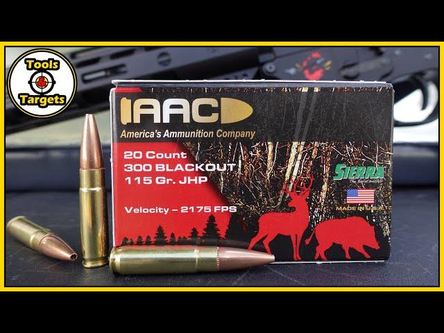 Hog Medicine!...AAC 300 Blackout Sierra Sports Master AMMO Ballistic Gel Test and Review!