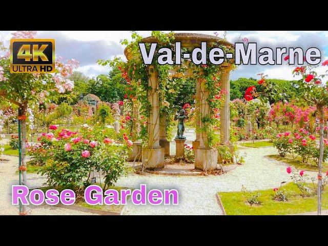 Roseraie du Val-de-Marne - Roseraie de L'Haÿ - Rose Garden 4K