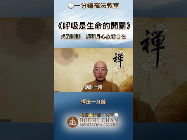 禪修找到生命的開關 #釋放壓力 #幫助身心健康 #禪法一分鐘 #學佛靜心開智慧