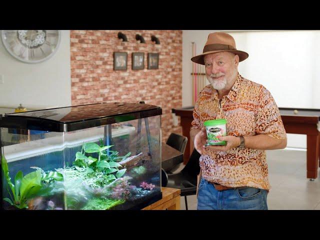 The Garden Gurus - Indoor Plant Care