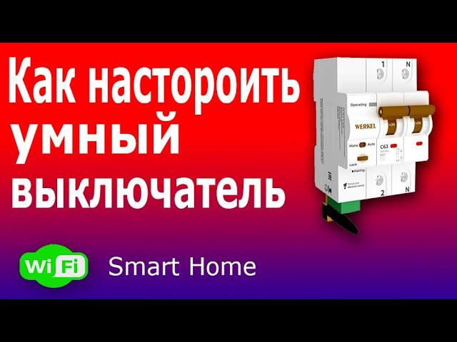 Настройка Умного Wi-Fi автомата с удаленным управлением для Умного Дома Werkel.