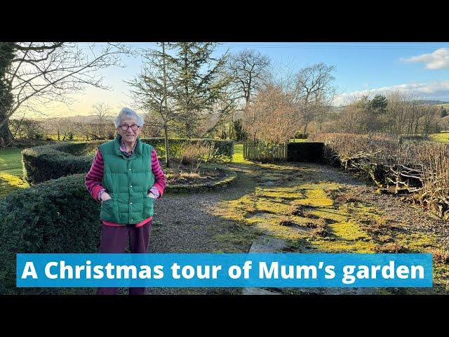 A Christmas tour of 85 year old Googie’s three quarter of an acre garden x