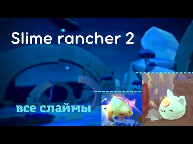 slime rancher 2 | часть 3 | открыл всех слаймов и все территории