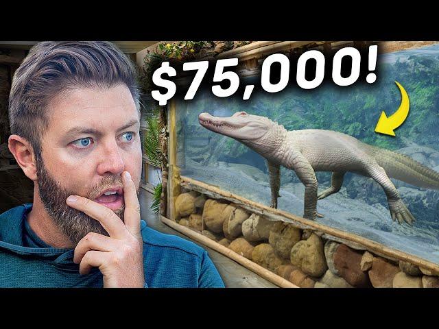 Private Tour Of The World's Best Prehistoric Zoo