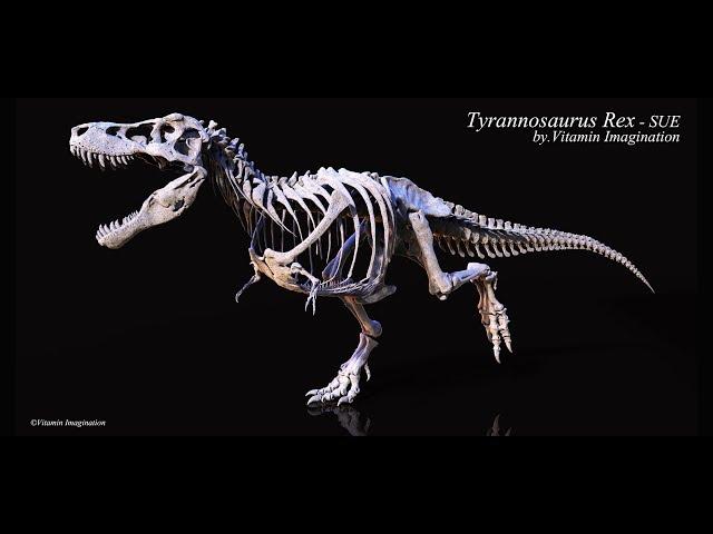 Tyrannosaurus Rex [Sue] skelleton by. Vitamin Imagination