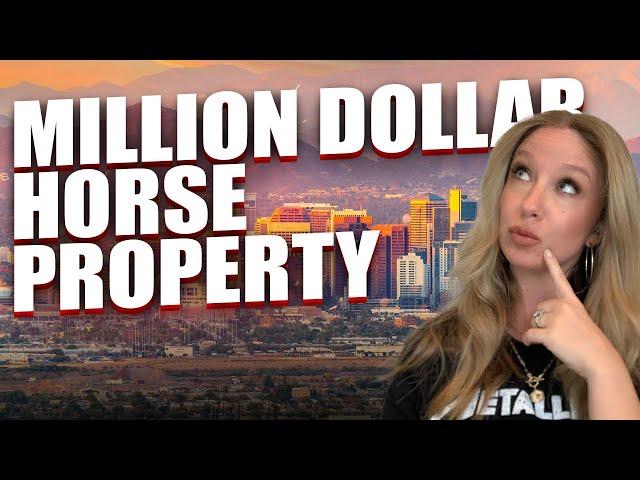 Million Dollar Horse Property