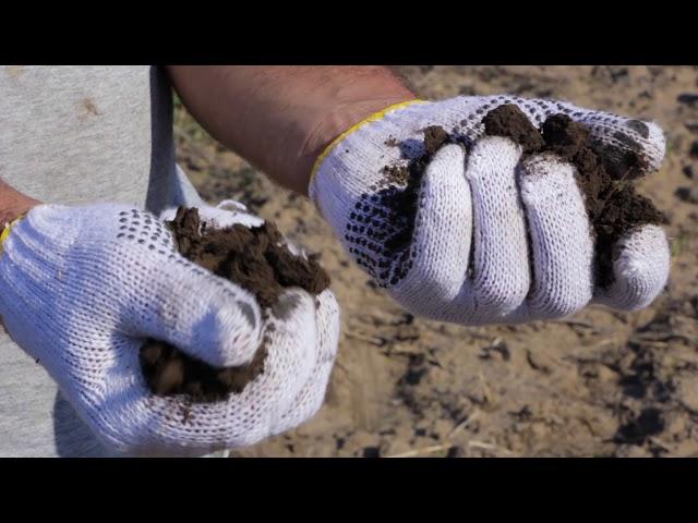 Soil analysis | InfOrganic