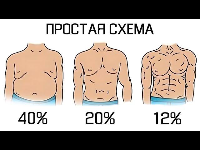 Самая Простая и Эффективная схема Сжигания Жира