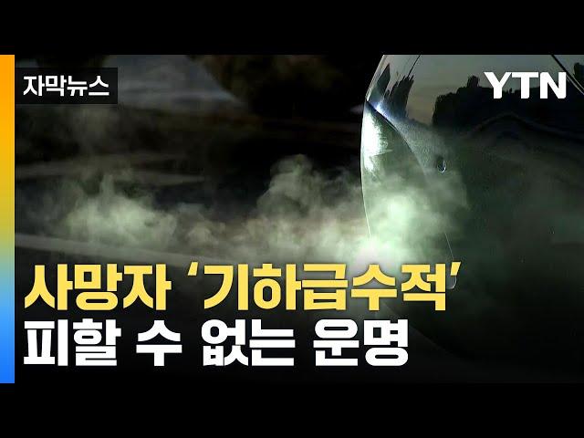[자막뉴스] "사망자 기하급수적 증가"...매년 피할 수 없는 운명 / YTN